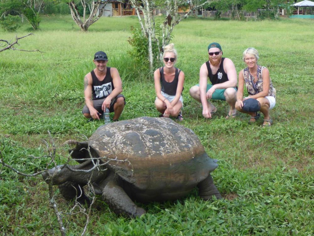 Giant Tortoise: Saw lots of huge tortoises in the wild